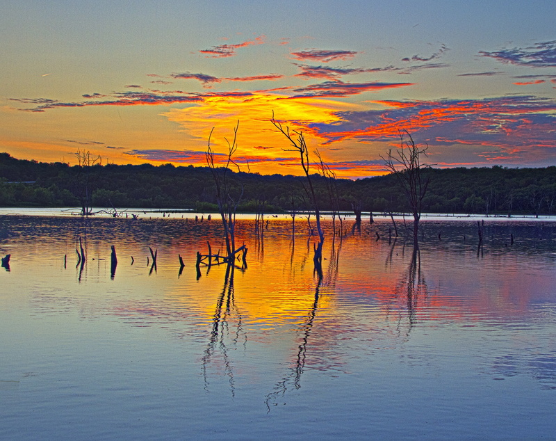 Kansas, Landscape, Sunset, trees, Lake, Nature, Reflection, Scenery, Travel, United States, Lawrence, Tree, clinton, Clinton Lake, bare tree, Scene, bare