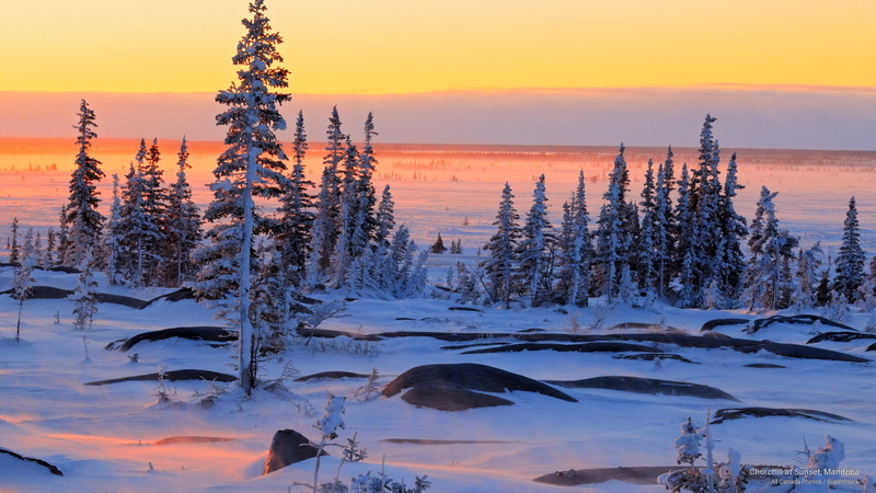 Winter, 2K, sunset, manitoba, churchill