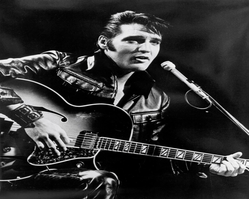 performance, string instrument, skill, one person, microphone, musical instrument, input device, musical equipment, artist, elvis presley, 720P, electric guitar