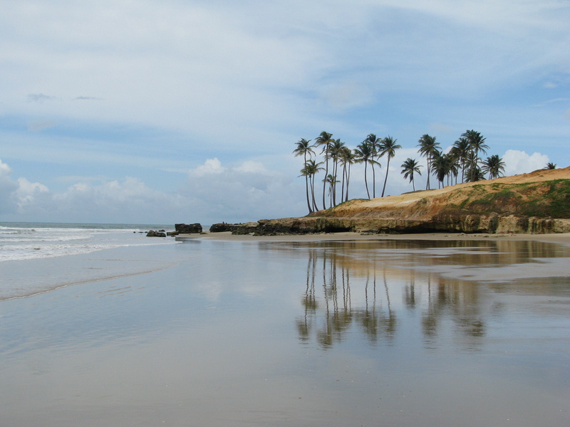 2K, trees, water, plant, tropical climate, reflection, landscape, tree, beach, palm tree, clouds, beauty in nature, day, coconut, sea, palm, ocean, lake