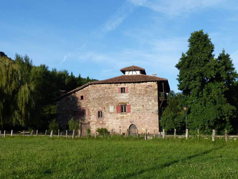grass, nature, green color, history, building, land, built structure, palace, field, plant, house, sky, the past, day, hamlet, outdoors, navarre, no people