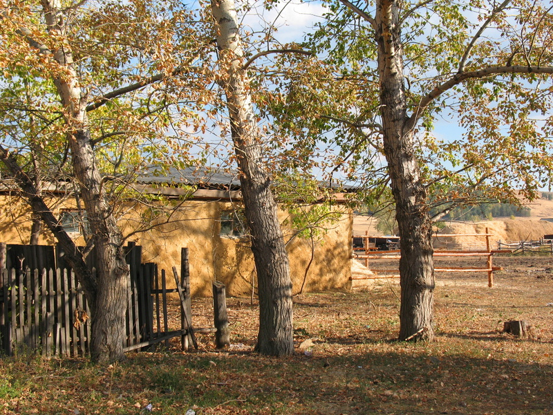 building Exterior, boundary, sunlight, farm, kazakhstan, landscape, scenics, no People, uSA, non-Urban Scene, fence, field, architecture, outdoors, fall