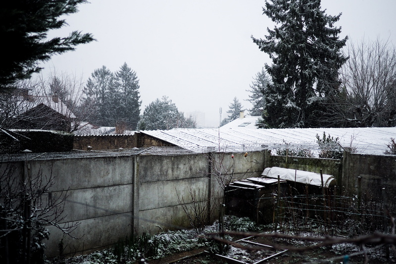 building exterior, day, abandoned, nature, 4K, architecture, cold temperature, built structure, snow, france, bare tree, snowing, hamlet, fence, yard