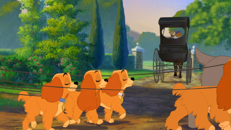 lady, 1080P, disney, tramp