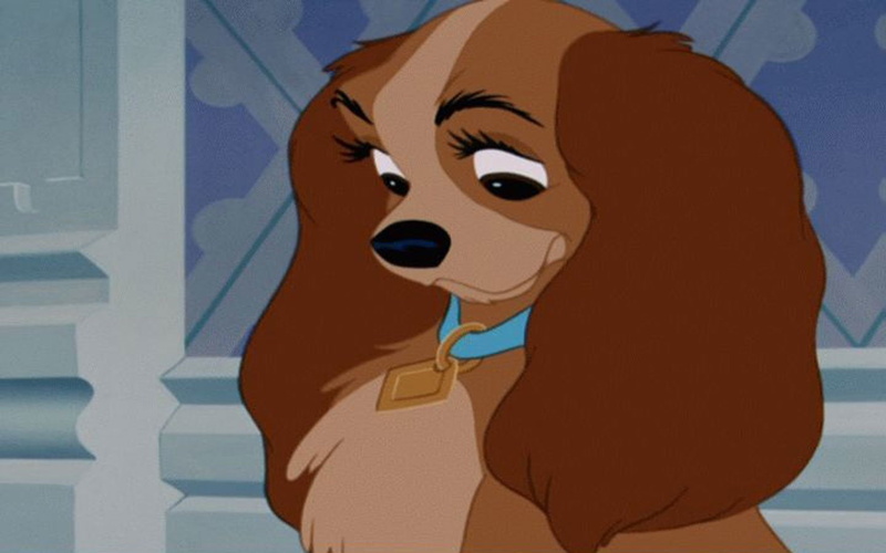 Lady And The Tramp, 720P, Movie