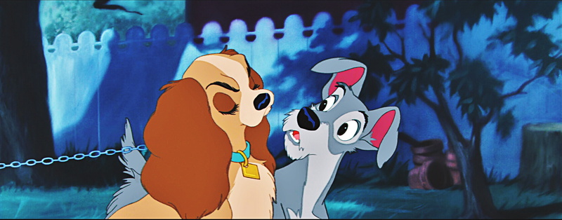 4K, disney, tramp, lady