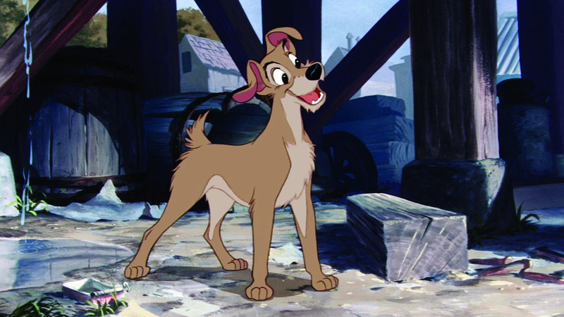 disney, tramp, 1080P, lady