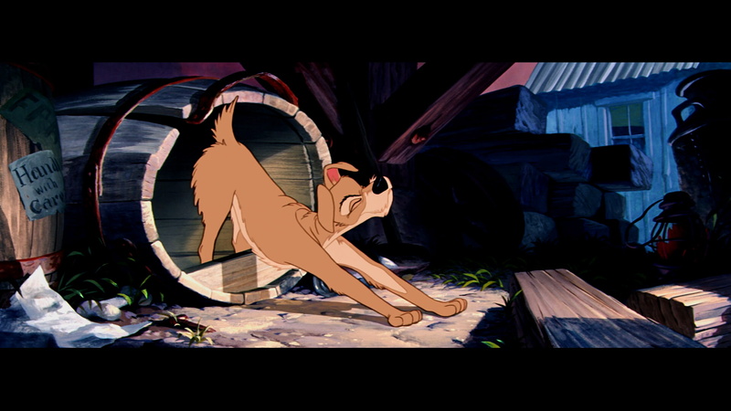 1080P, disney, tramp, lady