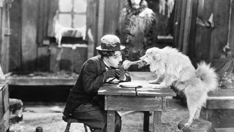 one animal, mammal, 1080P, canine, adult, primate, Charlie Chaplin, ape, men, Movie, pets, one person, sitting, domestic animals, focus on foreground