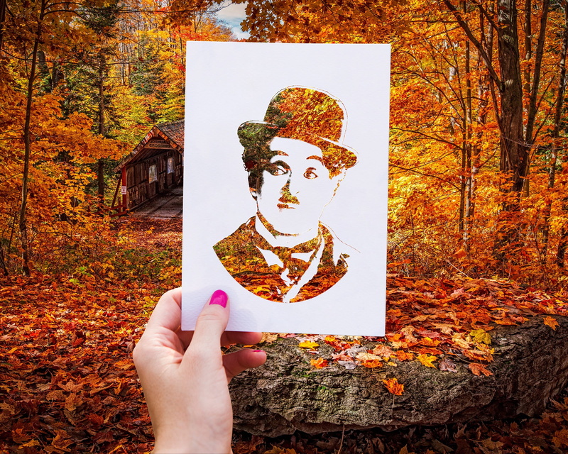 autumn collection, nature, change, finger, holding, personal perspective, outdoors, maple, people, charlie chaplin, autumn, hand, real people, tree, one person