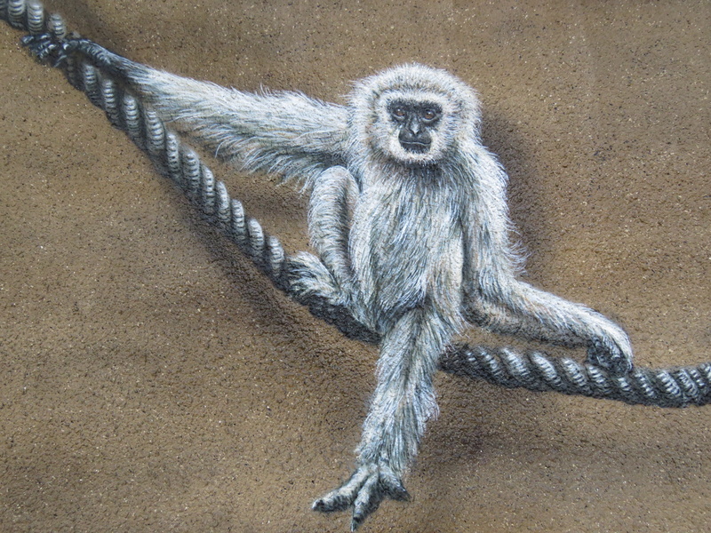 wildlife photography, animal world, animal wildlife, animal, no people, high angle view, sit, depend, drawing, primate, germany, portrait, animal themes