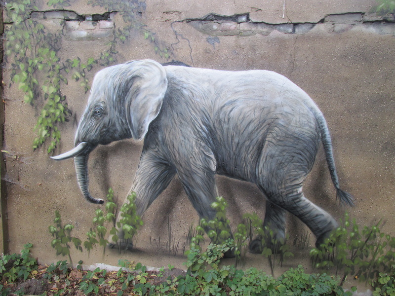painting, elephant, one animal, animal wildlife, lichtenberg, drawing, zoo, field, wildlife photography, germany, wall, paint, canine, standing, day, beautify