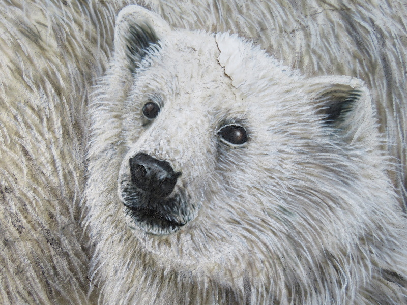 animal body part, mammal, vertebrate, paint, animals in the wild, outdoors, portrait, nature, draw, young animal, 4K, animal hair, close-up, animal themes