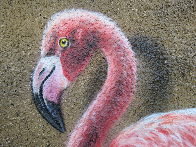 vertebrate, painting, animal themes, bird, mural, germany, drawing, day, animal body part, beak, zoology, one animal, draw, land, close-up, animal neck