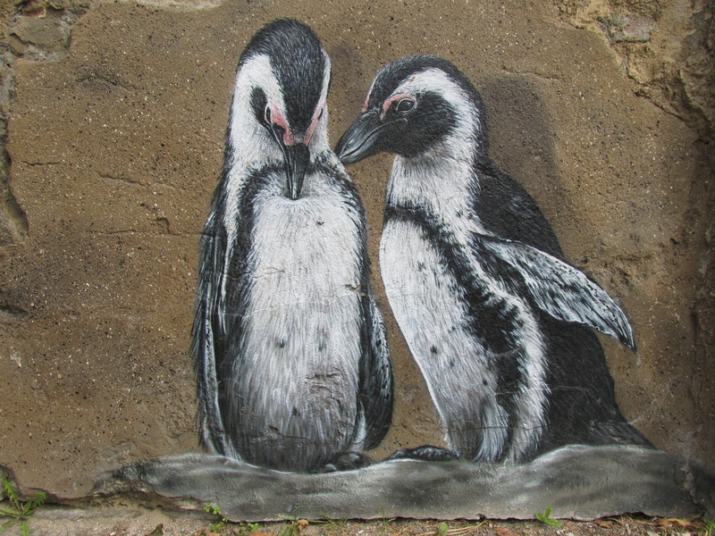 penguin, berlin, animals in the wild, capital, wildlife photography, germany, animal themes, lichtenberg, draw, animal park berlin, two, young bird, day