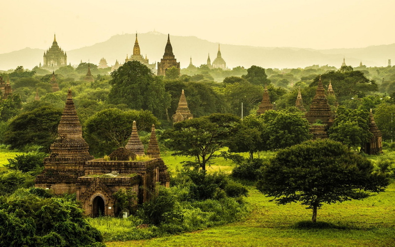 1080P, temple, grass, green, Buddhism, tropical, Myanmar, monastery, trees, landscape, mist, nature