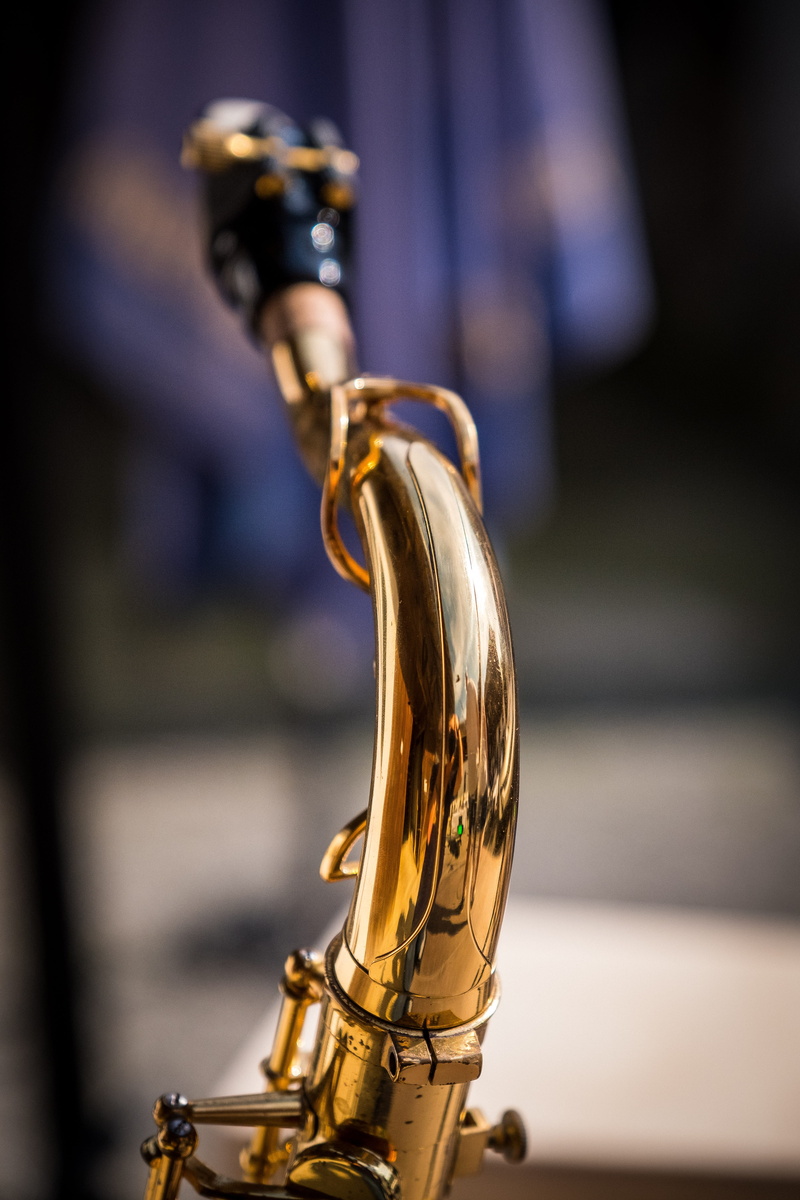 jazz, gold, close up, folding mechanism, 5K, s-bow, arts culture and entertainment, close-up, yanagisawa, tenor, saxophone detail, brass, section, single object