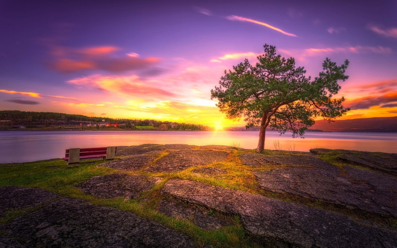 Tree, lake, hd, sunset, photography, best, body, water, near, 720P