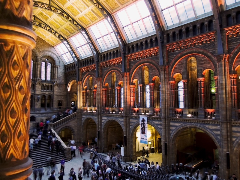 built structure, real people, building exterior, travel, travel destinations, day, crowd, iconic, ceiling, stone, group of people, natural history museum