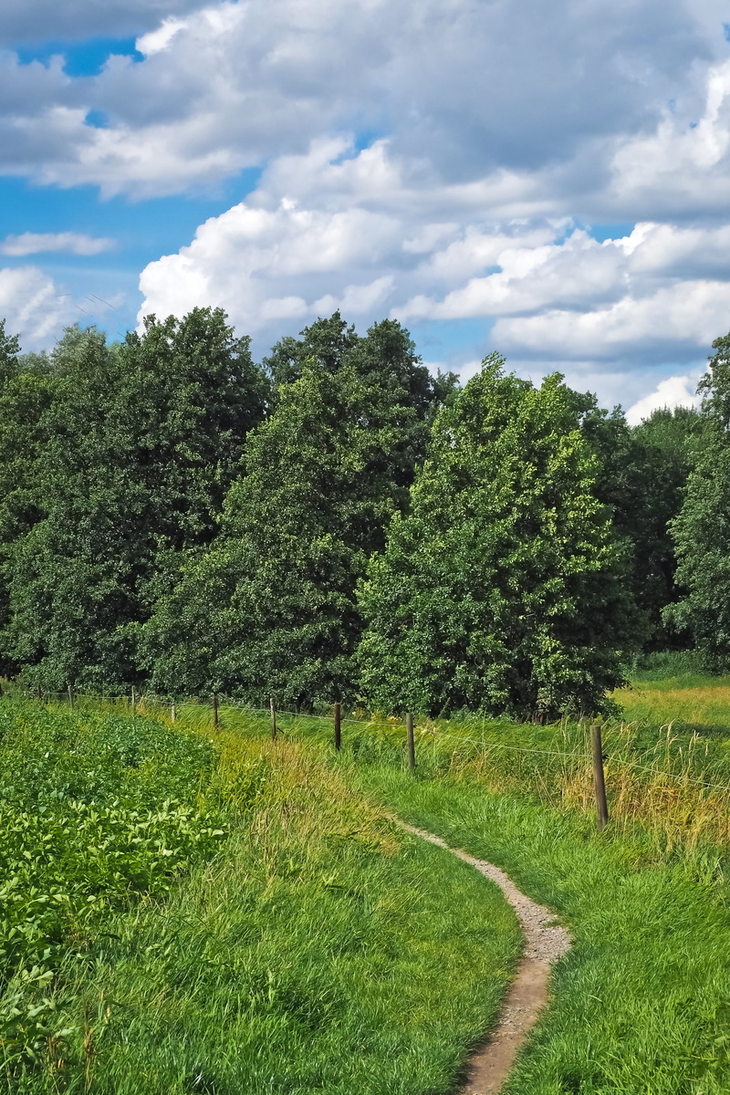 outdoors, meadow, agriculture, promenade, tranquility, the way forward, green, scenics - nature, hike, plant, environment, holiday, cloud - sky, trail