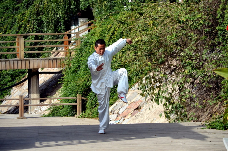 young adult, man, plant, karate, day, young men, lifestyles, white, tree, leisure activity, wearing, suit, chinese martial arts, standing, one person, defense