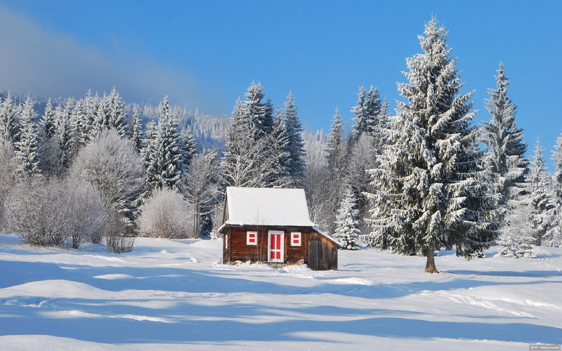 1080P, forest, winter, trimmed, red, cabin, wonderful, nature and landscapes