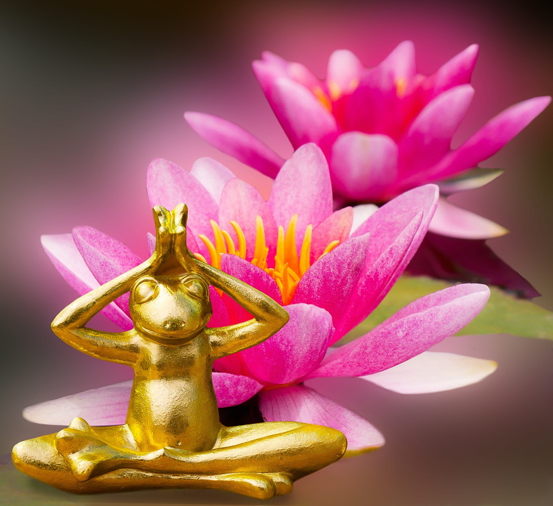 easter, representation, studio shot, colored background, human representation, freshness, Nature, plant, buddah, Frog, faith, religion, figure, 2K, gold colored