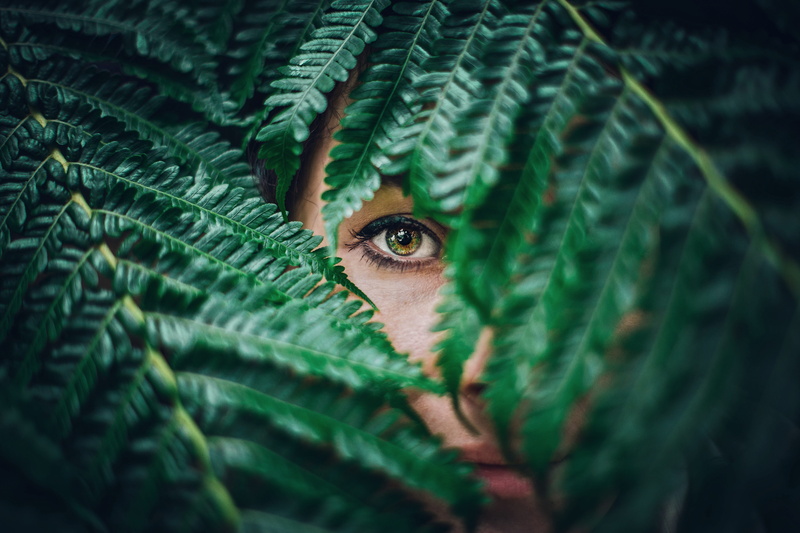 human eye, eye, plant part, leaves, person, human body part, s, covered, plant, leaf, portrait, hiding, 5K, green color, nature, men, tree, selective focus