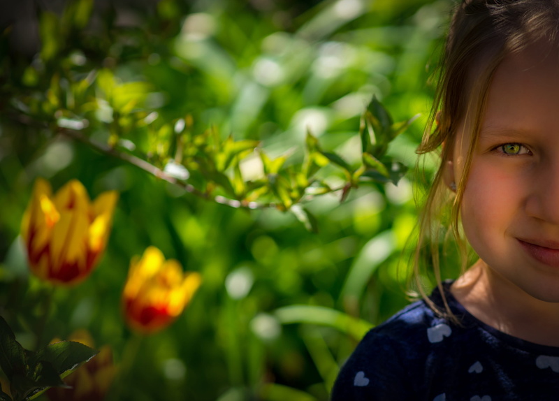love, children only, day, headshot, background, selective, iris, cat, close, loyalty, focus, facebook, leisure activity, cute, females, flowers, long haired