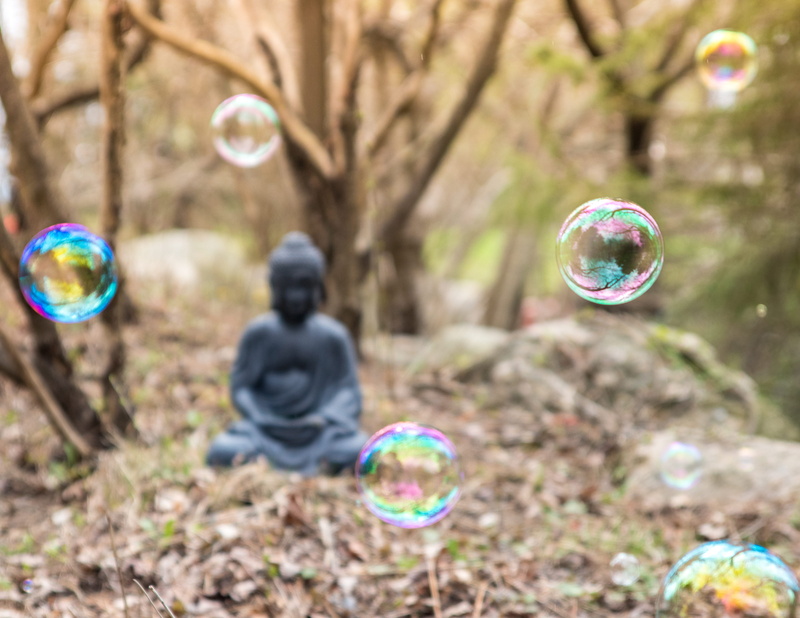 tree, zen, day, spring, field, transparent, forest, land, shape, mid-air, calm, fragility, focus on foreground, 4K, plant, bubble wand, multi colored
