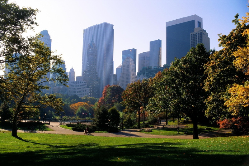 office building exterior, city Life, city, outdoors, architecture, downtown District, tower, manhattan - New York City, no People, trees, grass, leafed