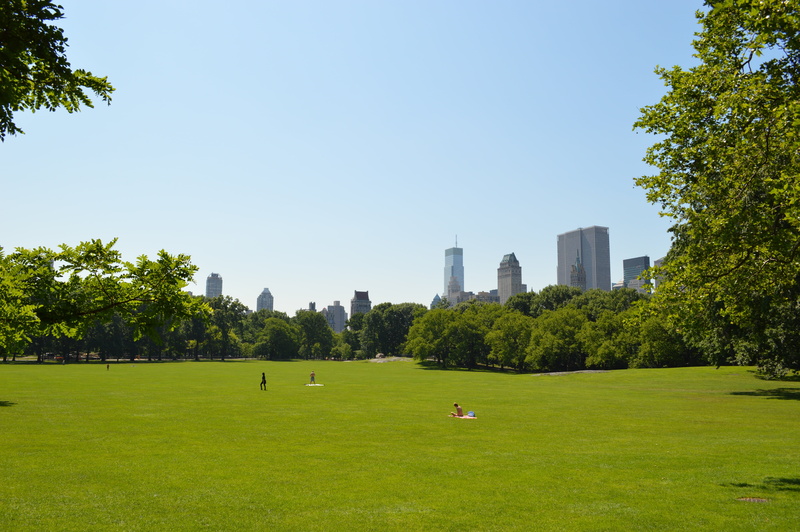new york, city, outdoors, modern, blue, office building exterior, green color, skyscraper, architecture, built structure, sunlight, central park, park - man made space