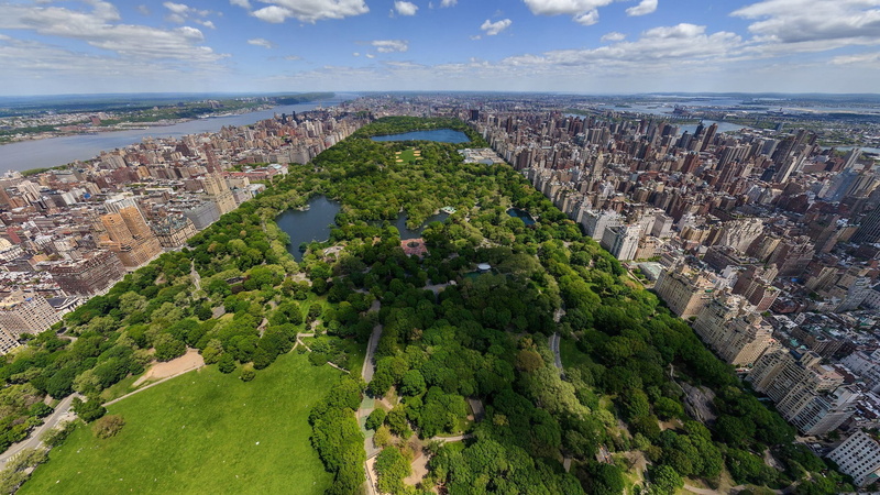 park, Central Park, urban, New York City, 1080P, city, cityscape