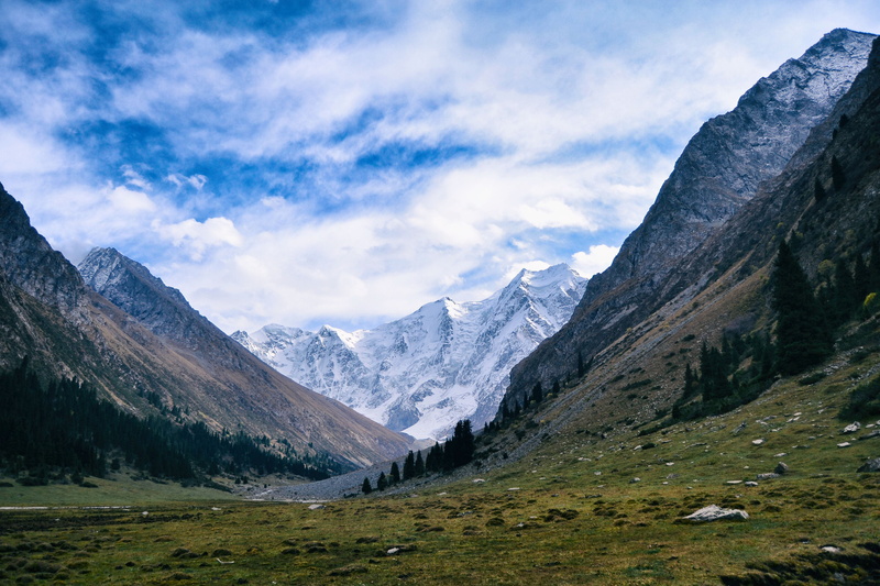 snow, scenics - nature, kyrgyzstan, non-urban scene, central asia, forest, land, cold temperature, remote, tranquil scene, mountain, idyllic, outdoors