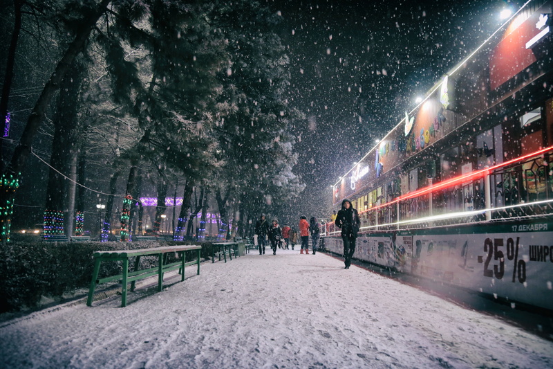 plant, leisure activity, covering, outdoors, night, bishkek, real people, beauty in nature, cold temperature, the way forward, nature, 5K, winter, tree