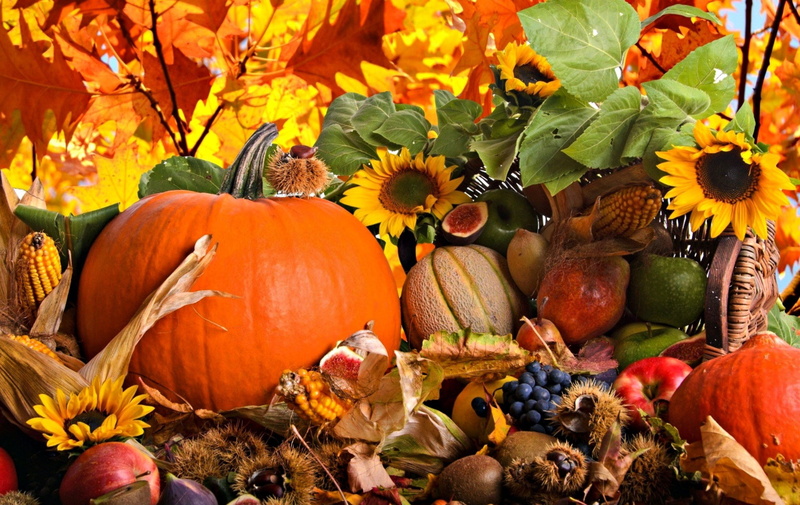 day, celebration, freshness, 720P, flowering plant, plant part, leaf, pumpkin, vegetable, no people, food, leaves, choice, nature, orange color, healthy eating