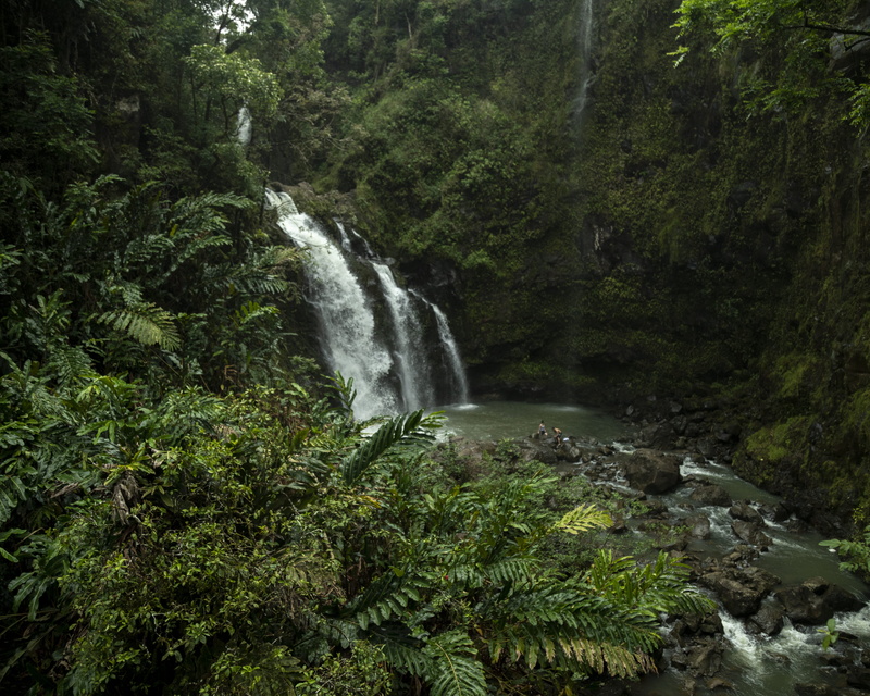 haiku-pauwela, photography, growth, tree, foliage, plant, flora, land, outdoors, no people, waterfall, falling water, united states, forest, jungle, time