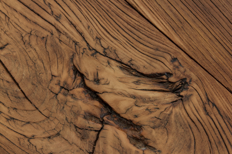 Texture, Current, rough, wood - material, background, nature, full frame, plant, natural pattern, textured, close-up, 5K, backgrounds, Elm, bark, Wood