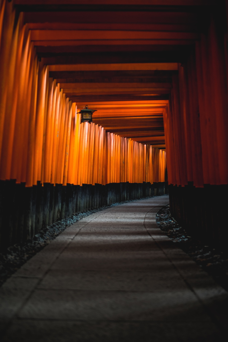 kyoto, illuminated, footpath, japan, orange color, nature, no people, building, alley, vanishing point, shrine, arcade, shinto, indoors, orange, 5K, direction