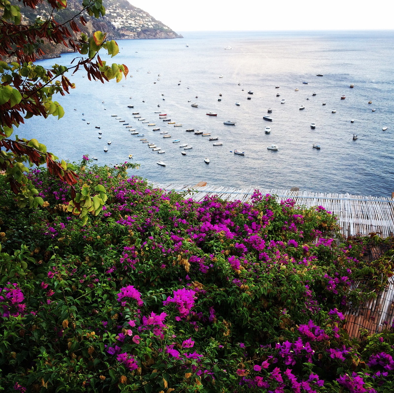 summer, nature, day, flowering plant, peace, sea, beauty in nature, tranquility, outdoors, sky, horizon, tranquil scene, purple, no people, plant, scenics - nature