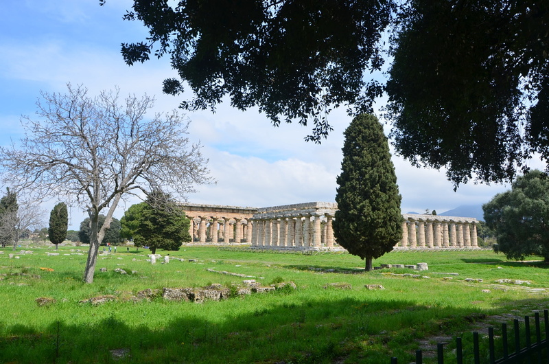 hedge, travel destinations, sky, monument, outdoors, europe, tree, field, growth, the past, cloud - sky, plant, built structure, grass, paestum, temples