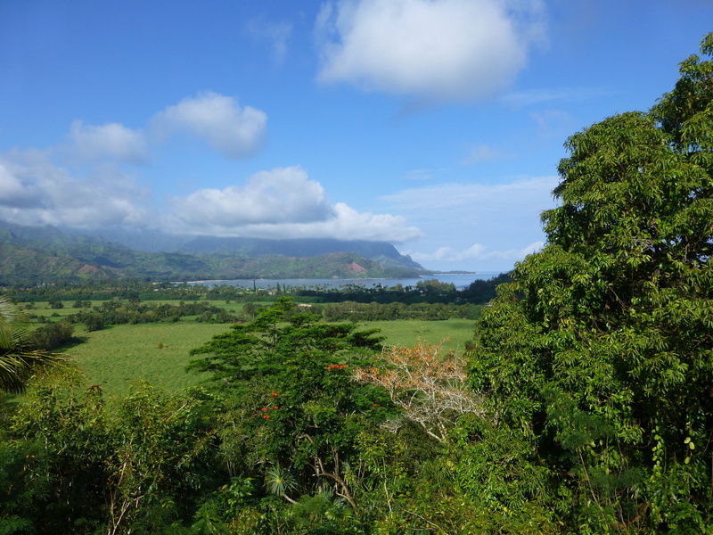 environment, 4K, road, countryside, land, idyllic, outdoors, vista, cloud - sky, hanalei, farm, tranquil scene, kauai, sky, scenic, mountain, tranquility