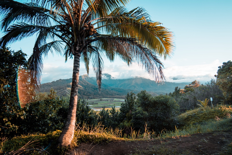 idyllic, sky, non-urban scene, land, environment, landscape, hanalei, mountain, scenics - nature, tranquil scene, nature, beauty in nature, sunlight, growth