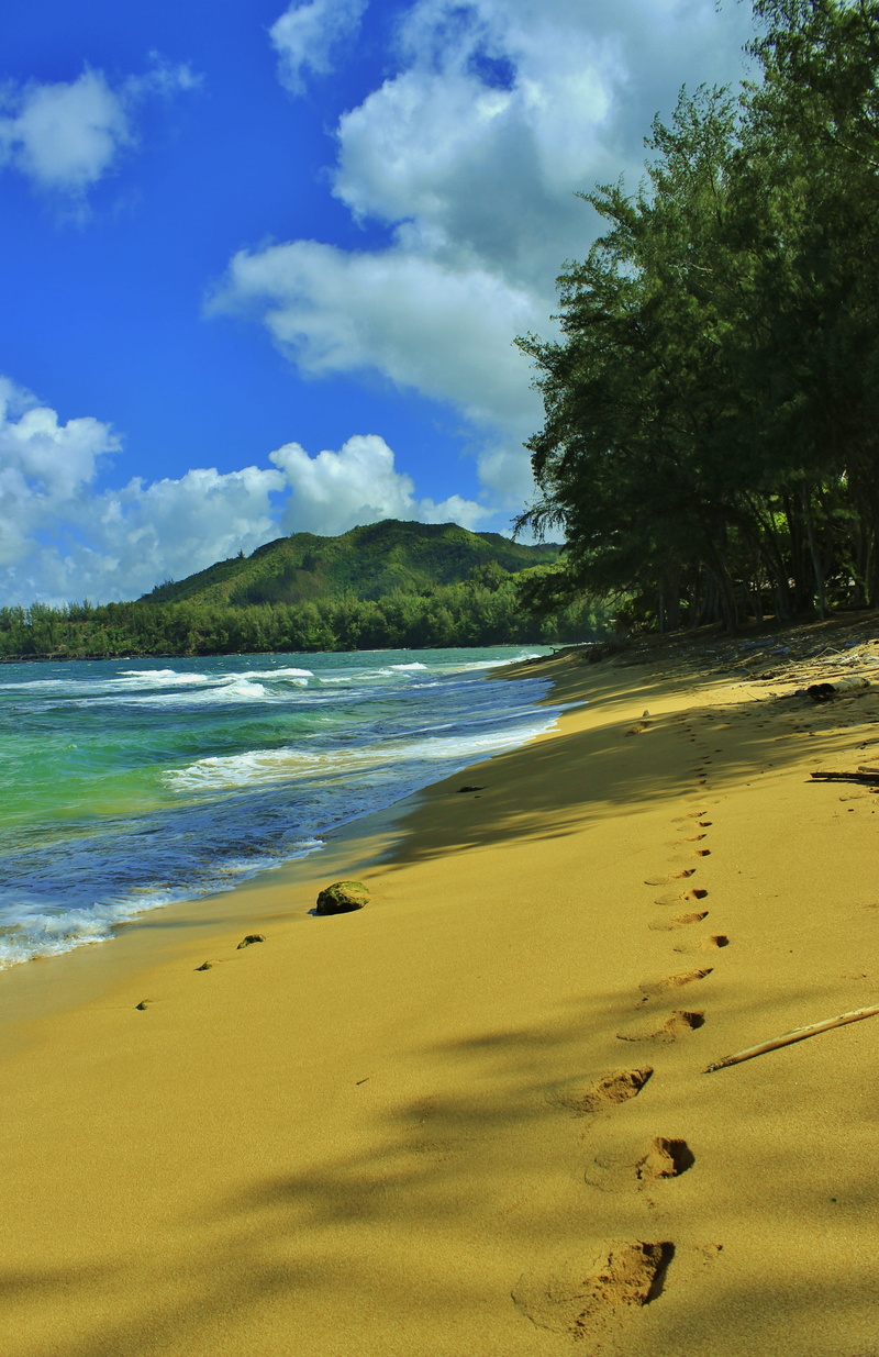 non-urban scene, sea, sky, scenics, beach, outdoors, tropical Climate, blue, plant, hanalei, travel, tranquility, landscape, travel Destinations, sandy beach