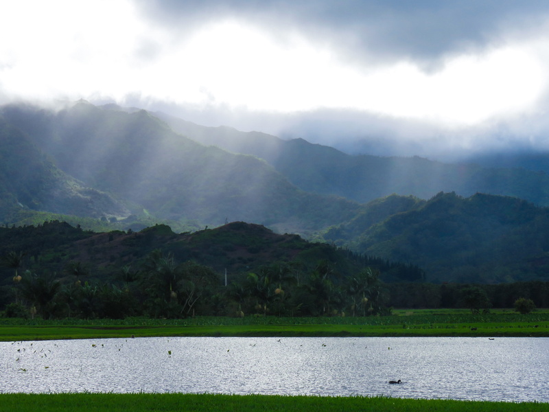 mountains, outdoors, kauai, no people, tranquility, 4K, hanalei, sky, landscape, mountain, beauty in nature, hanalei pond, day, tranquil scene, scenics - nature