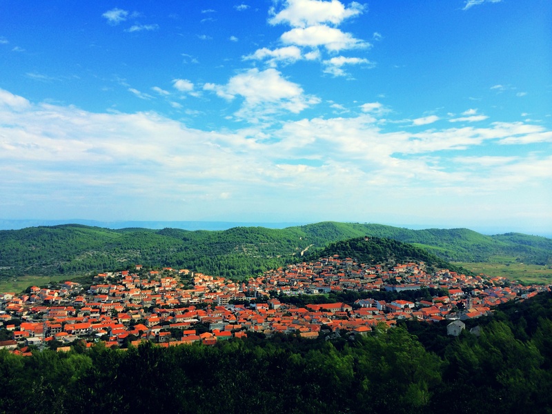 plant, dalmatia, built structure, croatia, day, coast, outdoors, mediterranean, scenics - nature, tree, city, building exterior, european, residential district