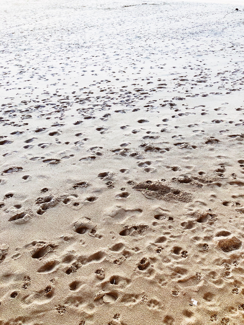 sand, pegadas, backgrounds, day, nature, full frame, no people, tranquility, water, print, summer, land, animal, verão, colares, 4K, footprints, abstract