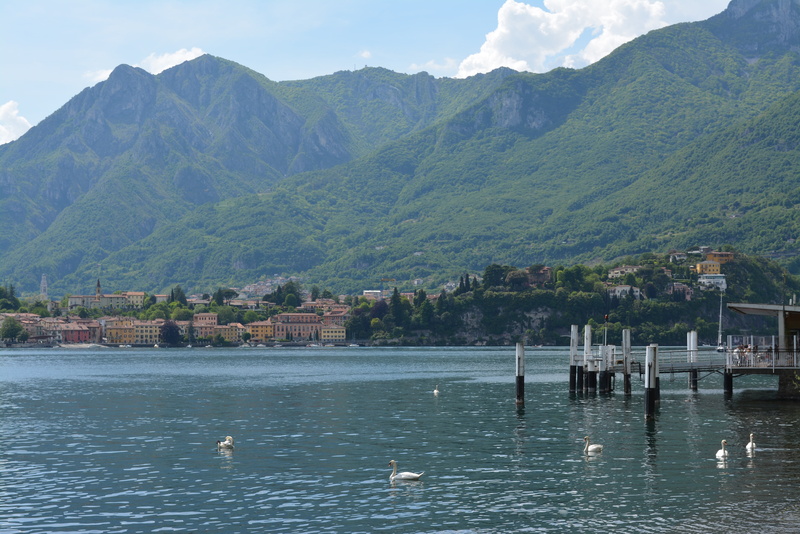 group of animals, vertebrate, building exterior, beauty in nature, waterfront, mountain range, no people, 4K, bird, animal wildlife, nature, animal, lombardy