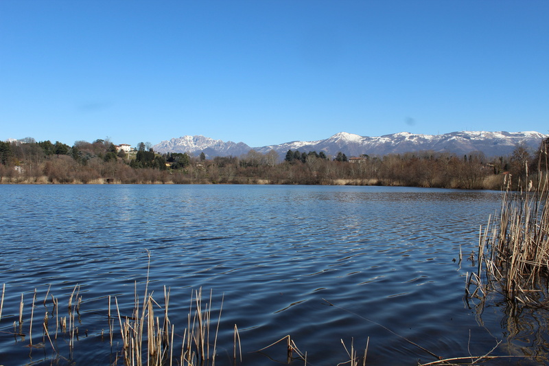 tranquility, beauty in nature, scenics - nature, nature, lake, prealpi, lecco, italy, clear sky, mountain, lago di sartirana, coniferous tree, tranquil scene