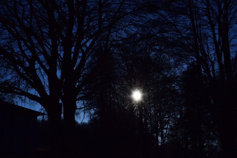 piani dei resinelli, low angle view, provincia di lecco, italy, tranquil scene, light, silhouette, no people, moon, beauty in nature, scenics - nature